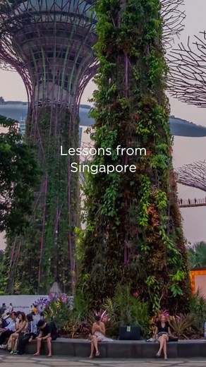 BLUE ZONES 2.0 What makes Singapore—the world's surprising new 6th blue zones location—an engineered longevity hotspot? Llearn more by reading Six Lessons from Singapore: https://www.bluezones.com/2023/10/six-lessons-from-singapore/ #BlueZonesSecrets #bluezones #livebetterlonger #longevity #aging #Singapore | Blue Zones