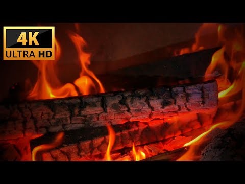 Peaceful Sleepy Campfire Escape | Campfire Sounds Near a Forest Pond