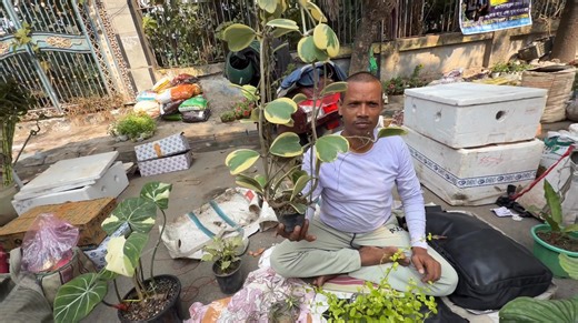 🌺 Must-Watch for Plant Lovers! 🌿 Visited Galiff Street Plant Market in Baghbazar, Kolkata and found AMAZING plants! Check out this complete nursery tour featuring: 🌹 Beautiful Climbing Rose varieties 🌺 Colorful Hibiscus plants 🏡 Indoor houseplants (Azalea & more) 🌸 Ginger Lily plants 💰 All with NAMES & PRICES! 📍 Nurseries Featured: ✅ Sri Gobinda Nursery ✅ Ratan Kakar Nursery ✅ And many more! When to Visit: Every Sunday, 6 AM - 1 PM Where: Galiff Street, Baghbazar (Near Sealdah), Kolkata 