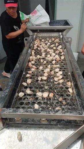 Screening shells | Stainless steel linear sieve