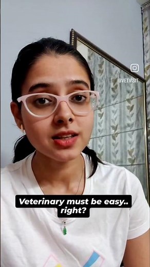When they ask, is veterinary easy | Veterinary subjects | Vet Visit