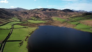 1.5K views · 47 reactions | The number of different WF fly lines may...