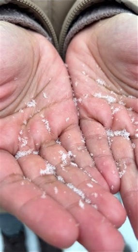 🔴Live Manali Jan 2026 | Live Update #manali #viral #snowfall