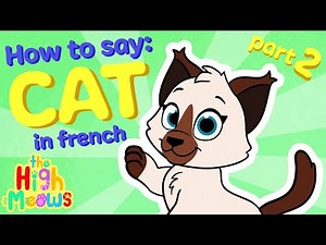 How to Say “Kitten” in French 🐱 | Learn French with Alice the Cat