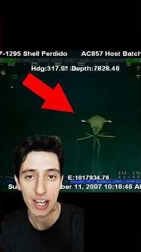 Animales que parecen aliens