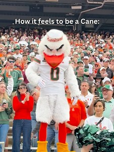 University of Miami on Reels