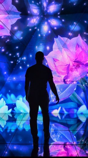 Kym Dunmore on Instagram: "More than 5 million lights transformed Camarillo Premium Outlets into an underwater kingdom! ✨ Imaginarium at Camarillo Premium Outlets - Until October 19, 2025 Tickets: https://imaginarium360.com/camarillo-ca Address: 740 Ventura Blvd, Camarillo, CA Hours: Sun, Wed, Thurs - 7pm to 10pm / Fri, Sat - 7pm to 11pm #ImaginariumCamarillo #VisitCamarillo #Imaginarium"