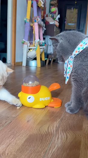 Make mealtime fun & smart! 🧠✨ The Duck Puzzle Feeder Toy turns snack time into playtime — keeping your dog mentally sharp, entertained, and healthy! ✔️ Encourages slow eating for better digestion ✔️ Stimulates curiosity & problem-solving skills ✔️ Reduces boredom and destructive behavior ✔️ Fun duck design that dogs can’t resist 🦆💛 Perfect for all breeds — watch your furry friend think, play, and enjoy every bite! 🐕🎯 Link in bio 😘 #DogPuzzleFeeder #InteractiveDogToy #DuckTreatDispenser #Sl