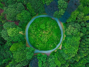 Economía circular. Especial Ecolec | Reciclaje y gestión de RAEE
