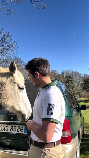 Solo soy un chaval haciendo 200 cosas al día. Espero que a mi teacher le sirva como los deberes de daily routine que me mandó 🫡🇬🇧