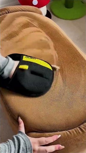 Professional Dog Grooming Kit with Complete Tools – OEM Pet Cleaning Kit for Salon Brands