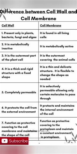 #difference between Cell Wall and Cell Membrane