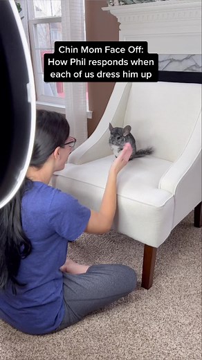 Phil E. Chinchilla on TikTok