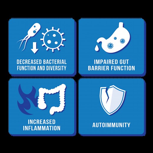 What’s the Best Autoimmune Atrophic Gastritis Diet? - Dr. Michael Ruscio, DC