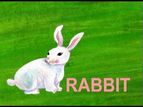 Learn the ABCs: "R" is for Rabbit