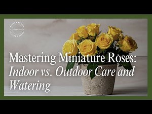 Mastering Miniature Roses: Indoor vs. Outdoor Care & Watering 🌹