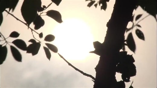 Explorando el legado de AKB48