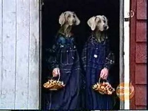 Sesame Street - Wegman dogs demonstrate 2