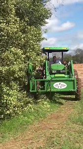 LIMB NINJA - FLIP DELUXE