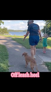 11 reactions | Winnie’s mom needed some help with her training- and...