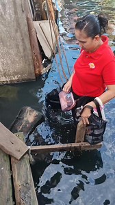 77K views · 1.4K reactions | Tagay caps version 3 #pawpawpaw | Paw Paw Paw | Facebook