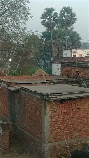 #song #love #love #music #bollywood