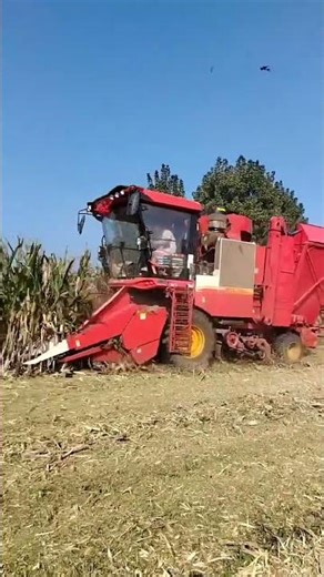 Self-propelled Wheeled three-row corn harvester, supports 15 hours of continuous operation