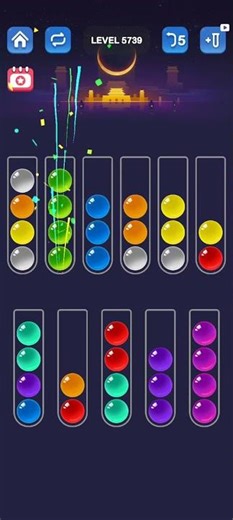 Ball Sort Puzzle Level 5739
