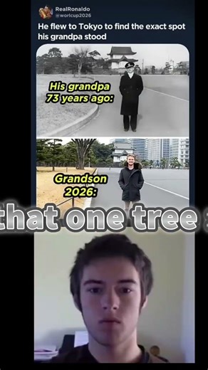 tree evolution #memes #evolution #entertainment
