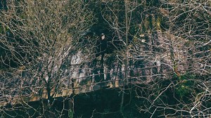 12 reactions | **ANNOUNCING**  The new Meemo Comma album "Decimation of I" is up for preorder on cassette or digital - listen to "The Poet" now: on bandcamp https://meemocomma.bandcamp.com/album/decimation-of-i on mu store https://store.planet.mu/release/466892-meemo-comma-decimation-of-i | Planet Mu (OFFICIAL) | Facebook