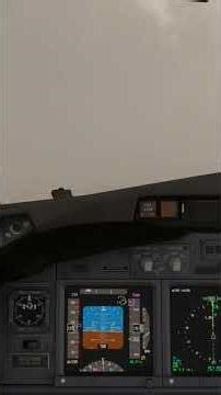 Its All Red, Non- precision VOR approach low visibility- MSFS2020