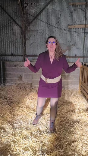 Miniature Anglonubian Goats: The Perfect Family Pets