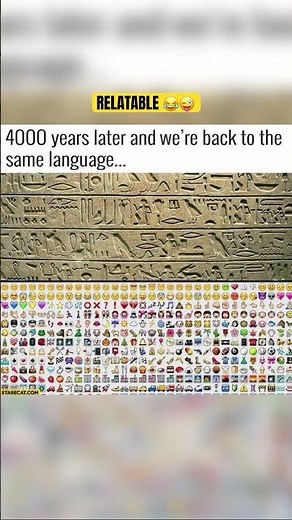 History teacher: Learn ancient hieroglyphics.Me: I already speak fluent emoji.” 😌😂#viral #comedy