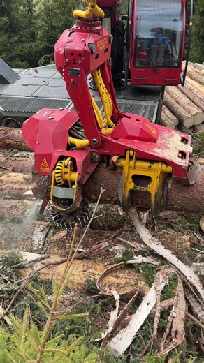Forestry and Woodworking with Woody & Mounty