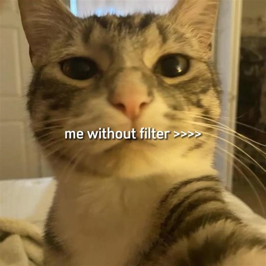 7264551387403455751
