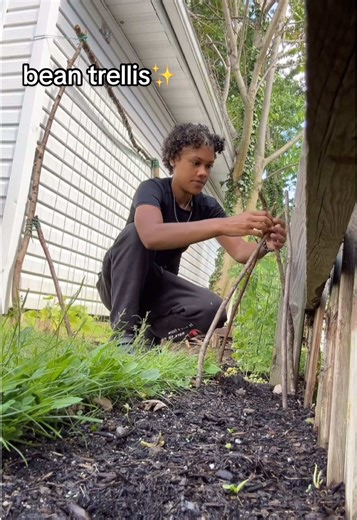 Affordable DIY Trellis Building for Your Garden