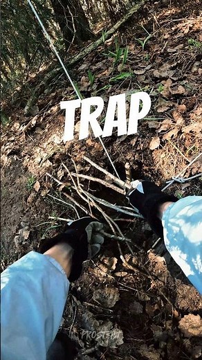 Fall Snare Survival Trap #survival #trap #bushcraft (How To Make a Trap)
