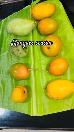 Summer fruits 9 varieties of Mangoes 🥭 #short #mango #trending #viral #youtubeshorts #subscribe