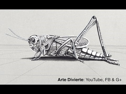 Cómo dibujar un Chapulín en 3D - Saltamontes metálico - Grillo cromado