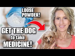 Easy Trick to Give Your Dog Powdered Medicine!