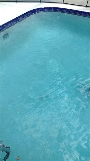 #poolchallenge #mjpoolandspa #poolsidevibes #poolcleaning #ShowUsYourDrawers #swimmingpool #poolparty