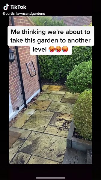 Innovation Landscape andDesign on TikTok