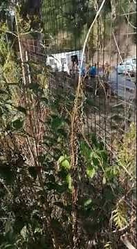 Video footage shows prisoners escape in Pietermaritzburg, KZN