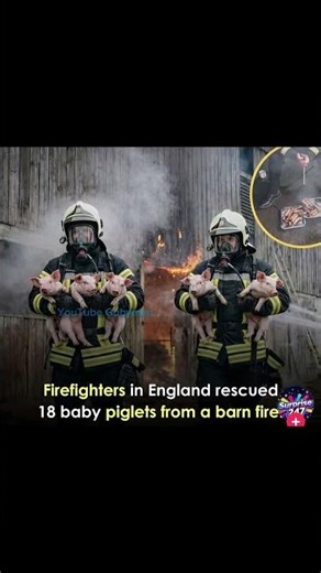 I don’t think you pronounce dad that way bro 😭 #slideshow #memes #dankememes #funny #viral