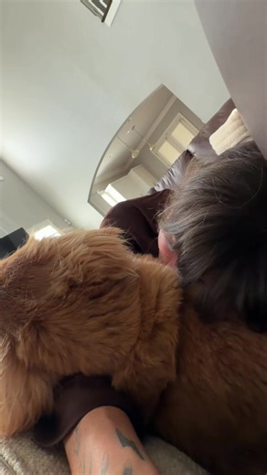 The Comfort of Dogs During Anxiety Relief