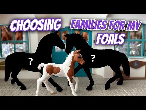 Choosing families for my NEW Schleich foals!🐴💗