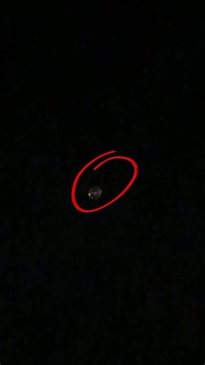 Algo nos estaba persiguiendo ! #perros #cachorrosdivertidos #poodle #puppy #alien