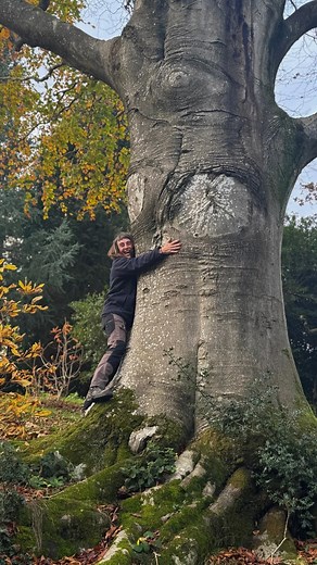 16 reactions |  National Tree Week starts tomorrow! National Tree...