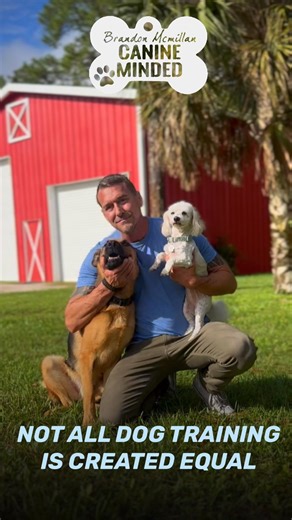 ➡️Brandon McMillan, 3x Emmy-winning host of CBS’s Lucky Dog and MasterClass instructor, brings unparalleled expertise to this luxury dog training retreat. ⭐Brandon’s balanced and effective training method empowers your dog to excel both inside and outside the house. 🐕‍🦺Unlike traditional board and train programs, we offer a home-like environment where your pup will enjoy the experience of a summer camp—never isolated. Our camps include: ✅5-7 daily sessions, socialization ✅public training ✅dist