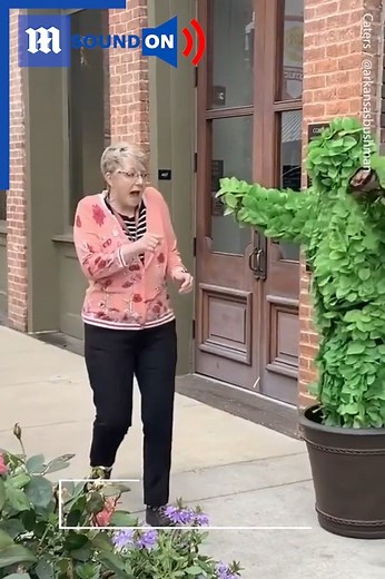 84K views · 444 reactions | Now I'm going to wonder if every bush I see is actually a bush!  Additional clip via ViralHog | Daily Mail Video | Facebook